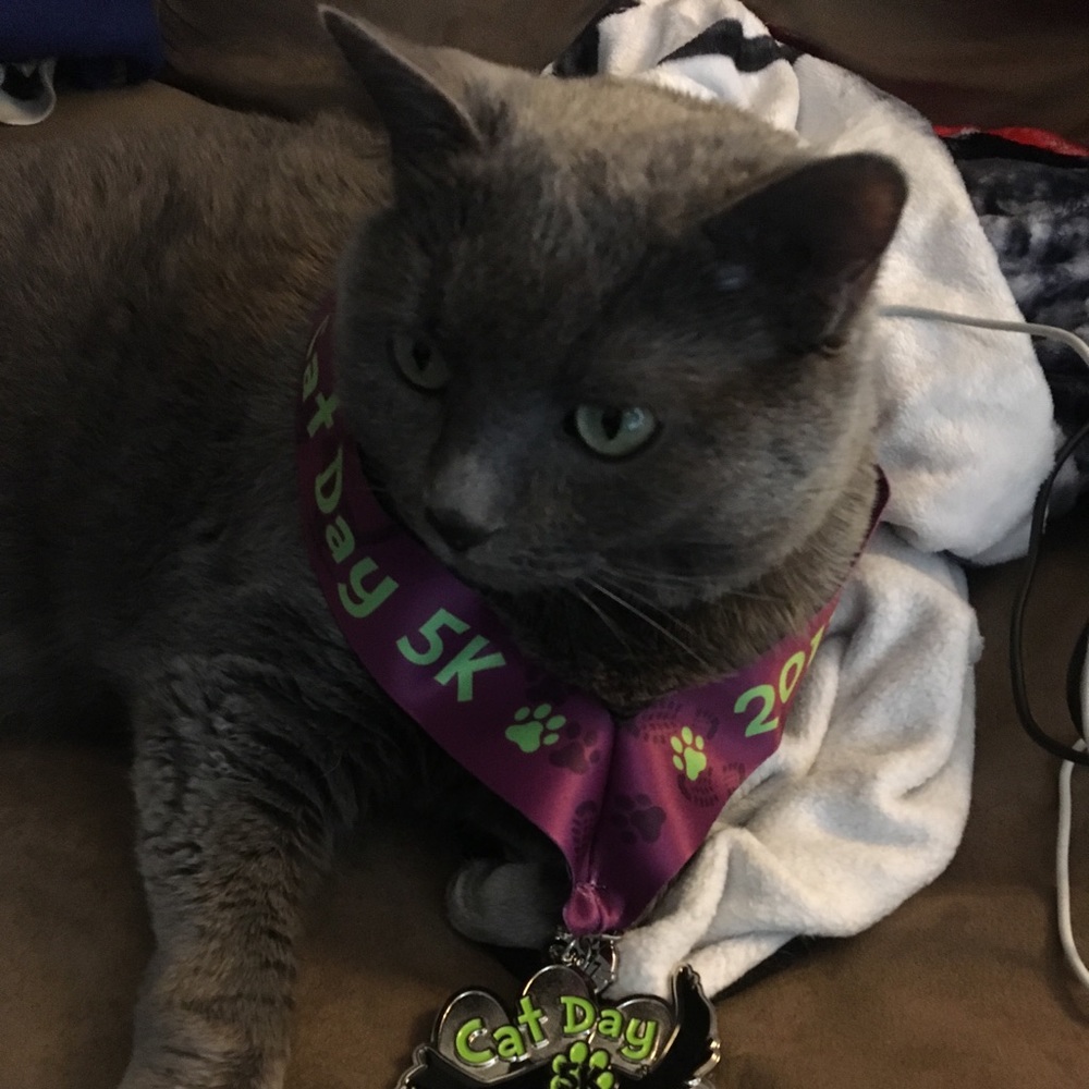 Meet your Posher, Katelyn